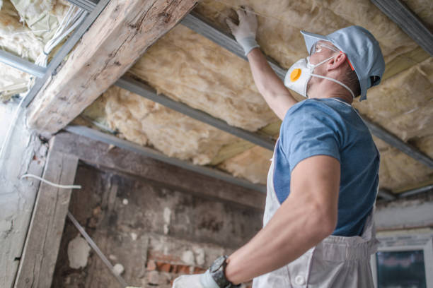 Best Commercial Insulation Contractor  in Sibley, LA