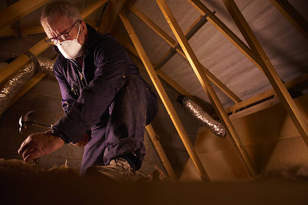 Best Insulation Inspection Services  in Sibley, LA